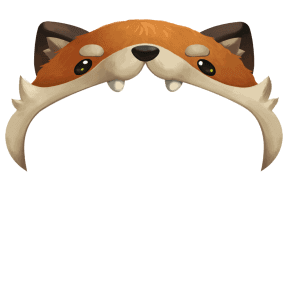Avatar decoration